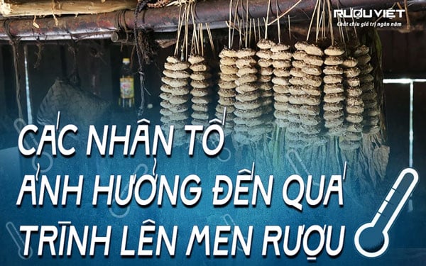 cac-nhan-to-anh-huong-qua-trinh-len-men-ruou