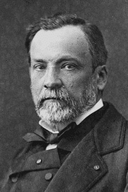 Nhà sinh vật học người Pháp Louis Pasteur