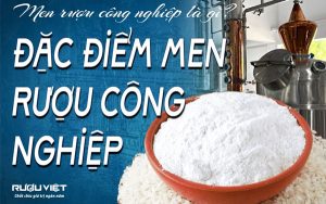 men-ruou-cong-nghiep