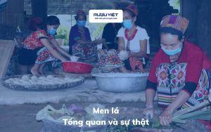 tong-quan-men-la