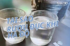 Vì sao hạ độ rượu lại đục? Cách làm trong rượu nhanh chóng, không cần dùng máy