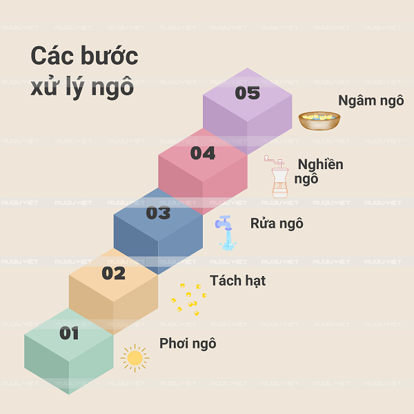 các bước xử lý ngô