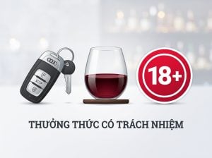Thông điệp uống rượu có trách nhiệm và tuân thủ pháp luật.