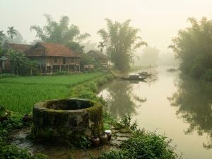 lang-van